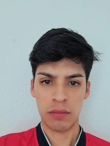 Darien Alvaro Roman Auccahuasi