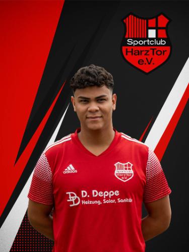 Anthony De Jesus Rivas Perez