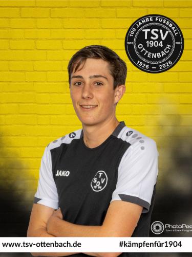 Niklas Ingerl