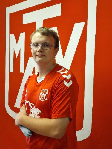 Hinrich-Ferdinand Stender