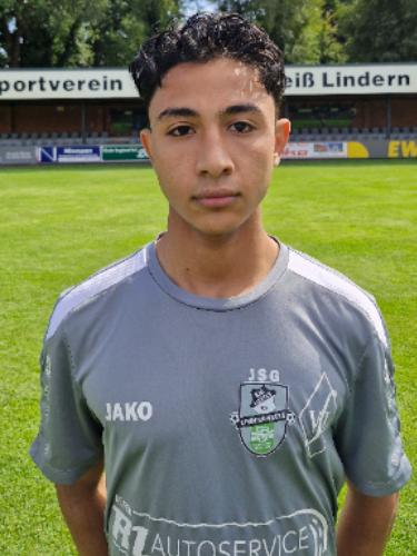 Mohammad Mohammadamin Almlhim