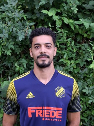 Mahmoud Ahmed Elsayed Ali