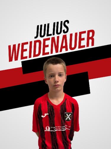 Julius Weidenauer