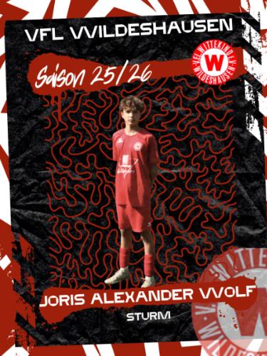 Joris Alexander Wolf