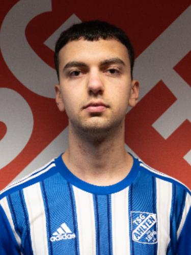 Aleksander Mikic