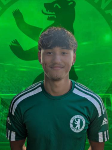 David Duc Anh Nguyen