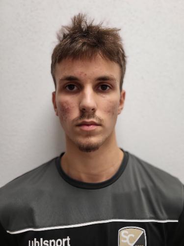 Alem Torlakovic