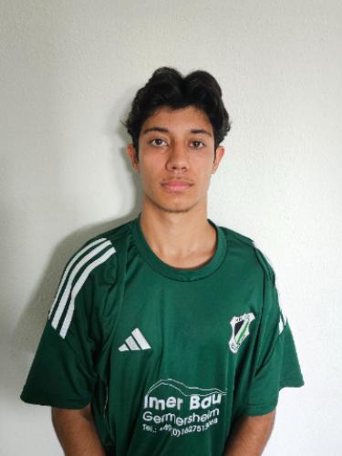 Amir Hussain Tajik