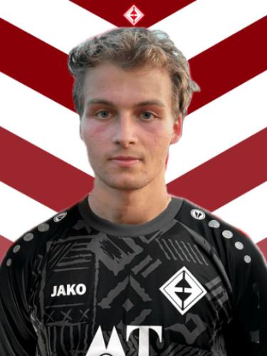 Theo Wernicke