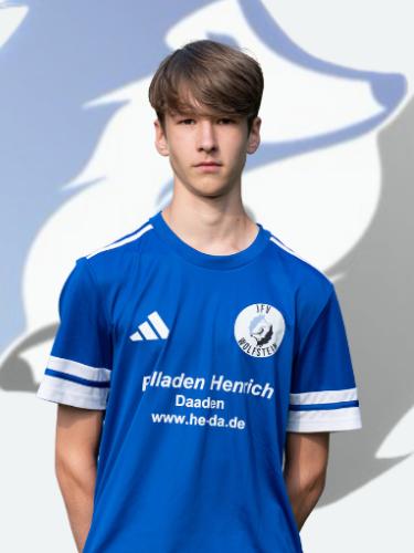 Emil Johann Maria Petry