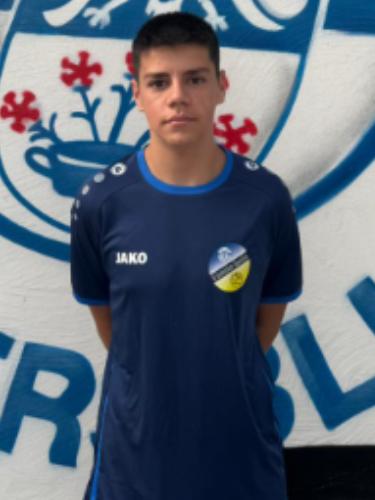 Emanuel Martins Guerreiro