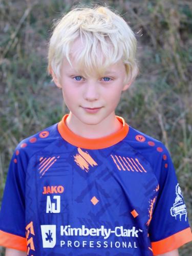 Aljoscha Jenkins