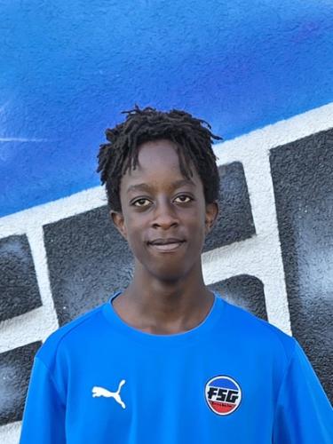 Dhamana Fleckenstein