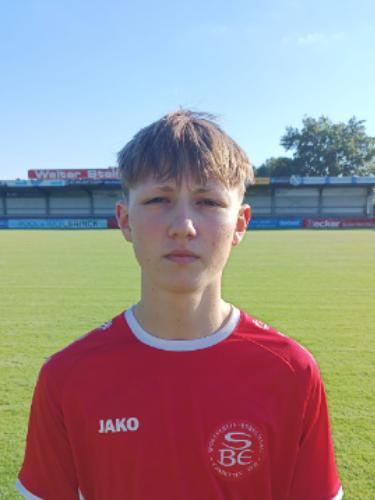 Theodor Henry Meißner