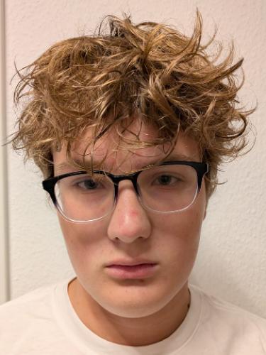 Ben-Luka Lippert