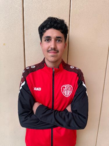 Hamid Audi