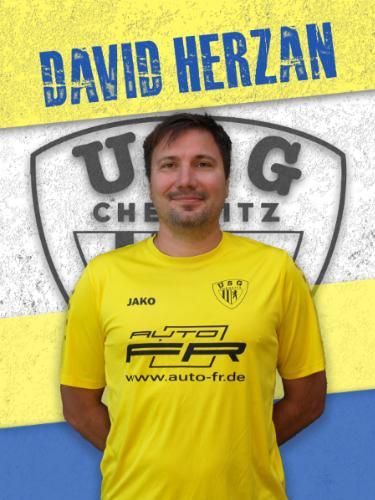 David Herzan