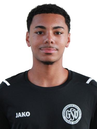Nico Juan Huylmans