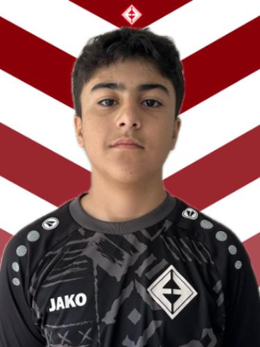 Mohamad Zain Almousa Alazi