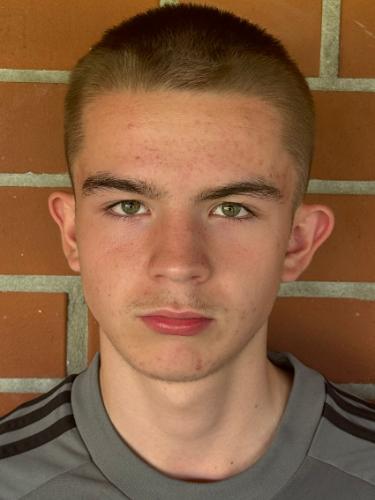 Johannes David Pomarino