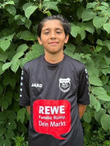 Mentor Mirza Brizani