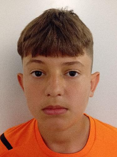 Pavlic Babak