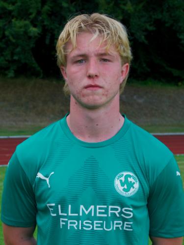 Theo Alexander Ellmers