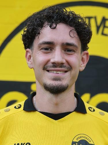 Dominik Bilogrevic