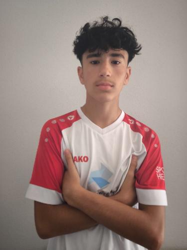 Mohammad Mozamel Ahmadi