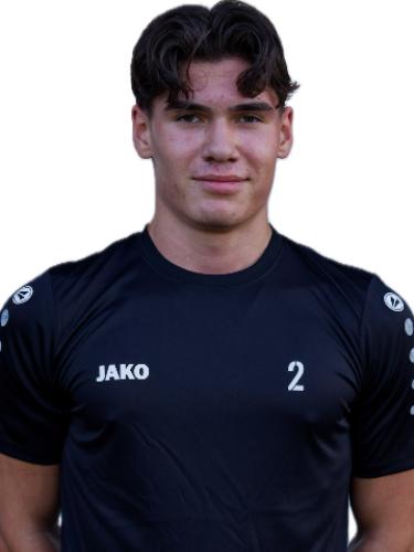 Henri Salim Werner Heßke