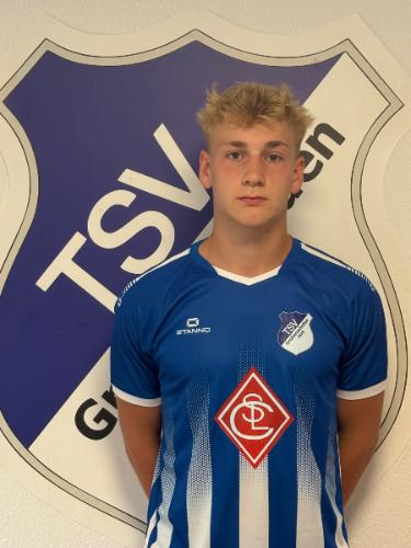 Matthis Henry Klaus Stapelfeld