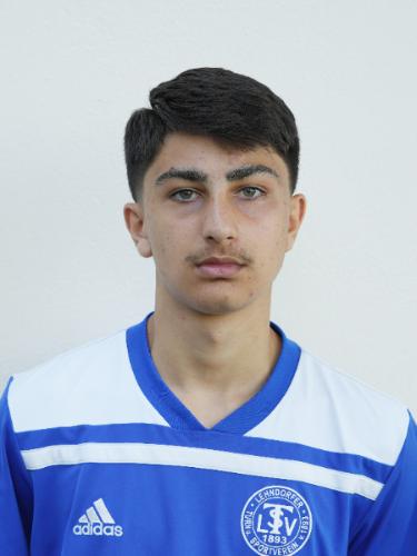Samyar Sultani