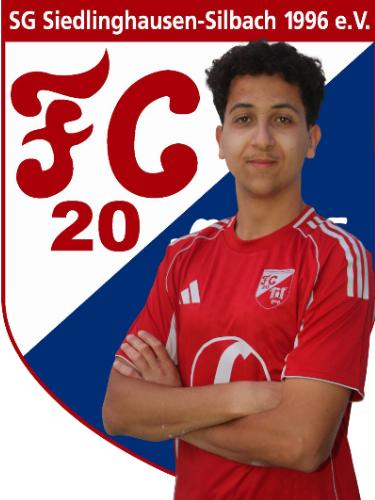 Mohamed Kheir Damer