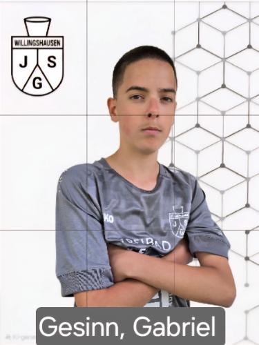 Gabriel Gesinn