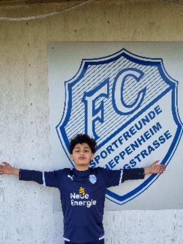 Medrik Babaei Mobarakeh