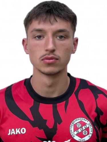 Leon Radanovic