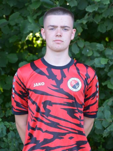 Piet Henri van Eickels