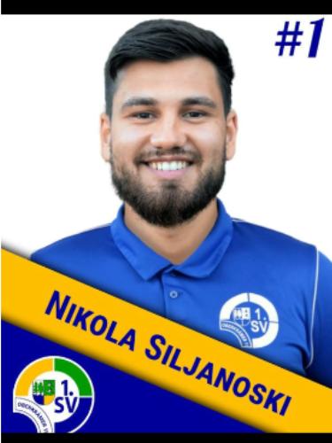 Nikola Siljanoski