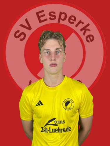 Lion Krüger