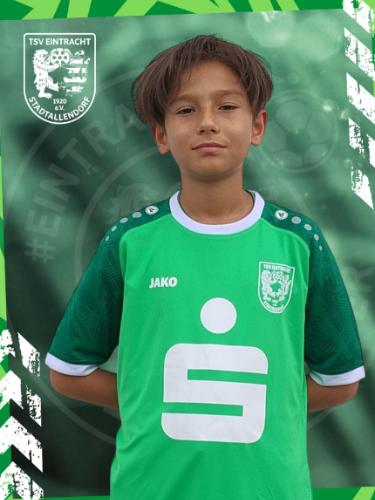 Lucas-Emilian Lungulescu