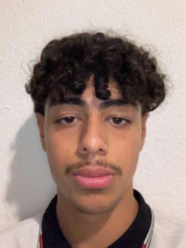 Mohamad Amin Alhamada