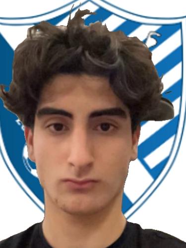 Amir Hassein Ahmadi