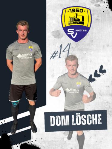 Dominik Lösche