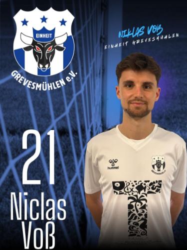 Niclas Voß