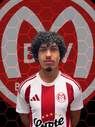 Hakan Yavuz