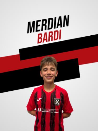 Merdian Bardi