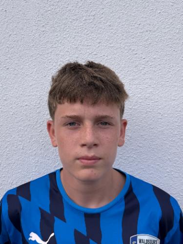 Carl Nicolas Saltenberger