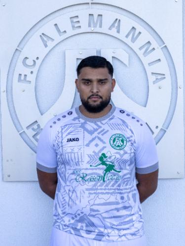Arian Talamisi