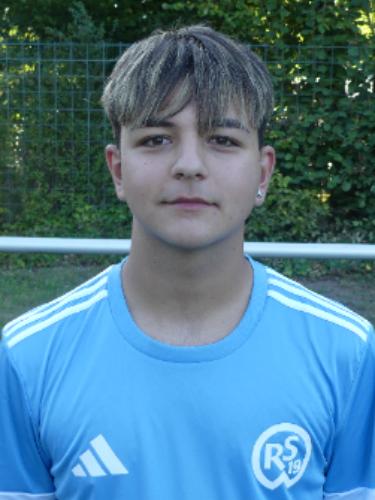 Robert-Stelian Turnea