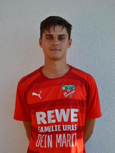 Louis Sonnenberg